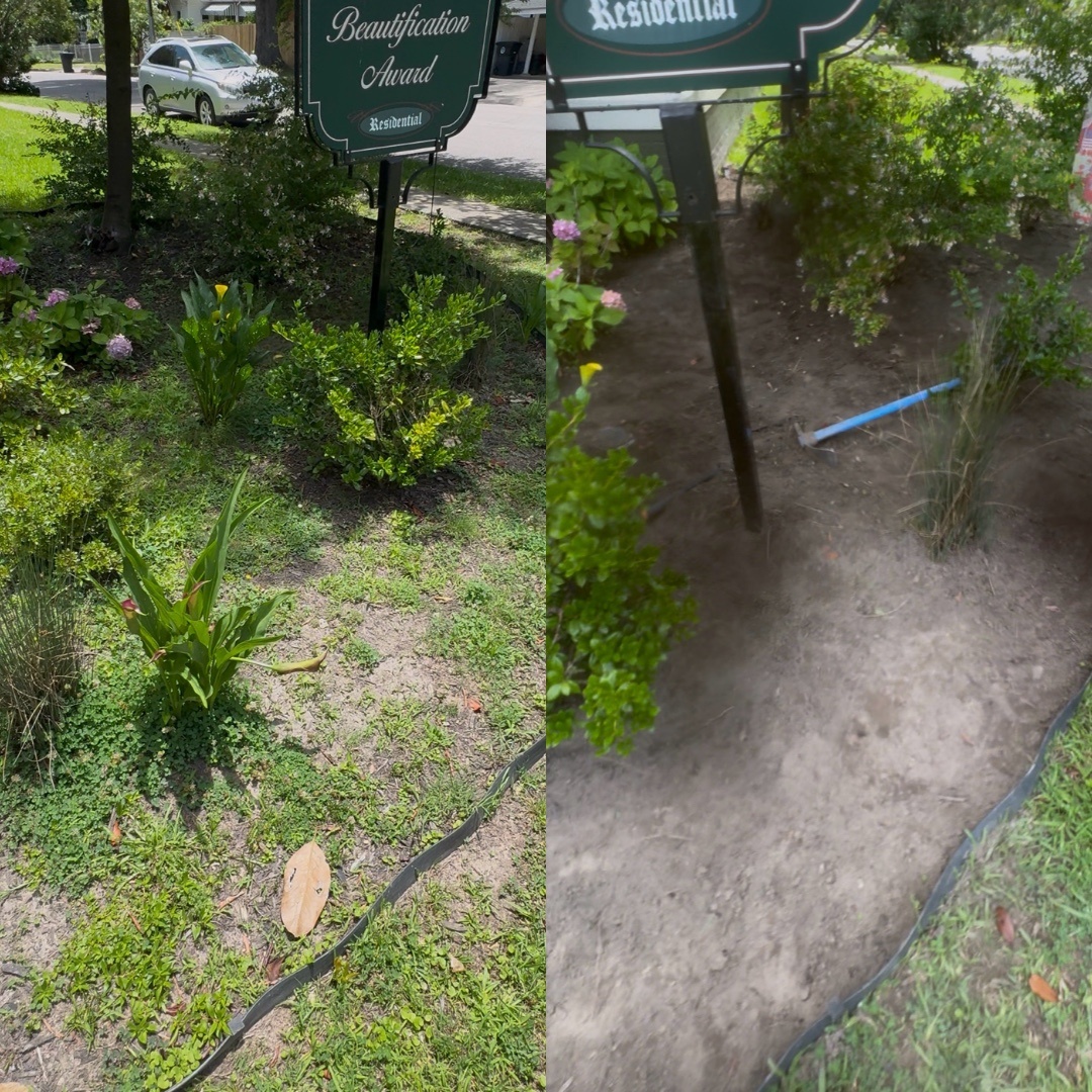 Flower bed cleanup and weed removal project