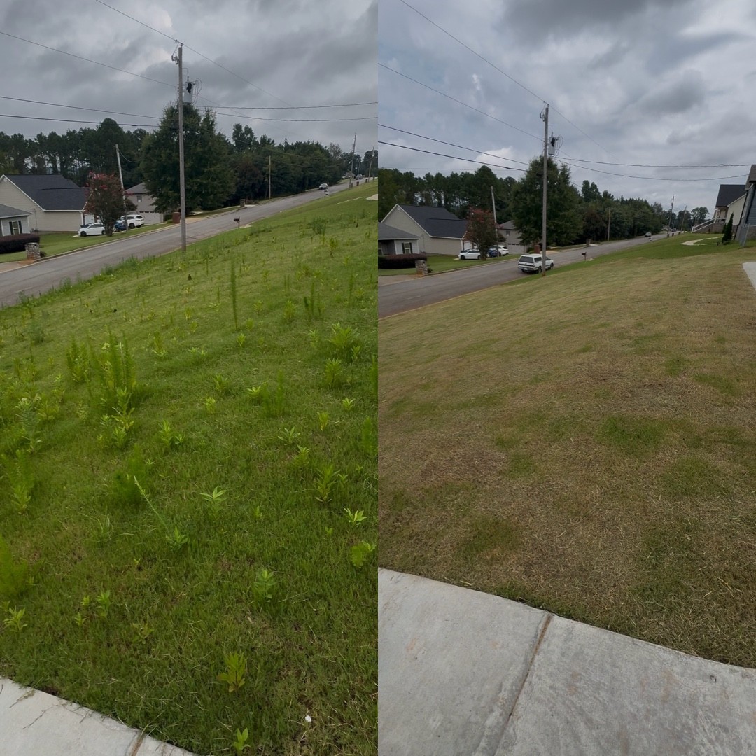 Before and after lawn mowing project