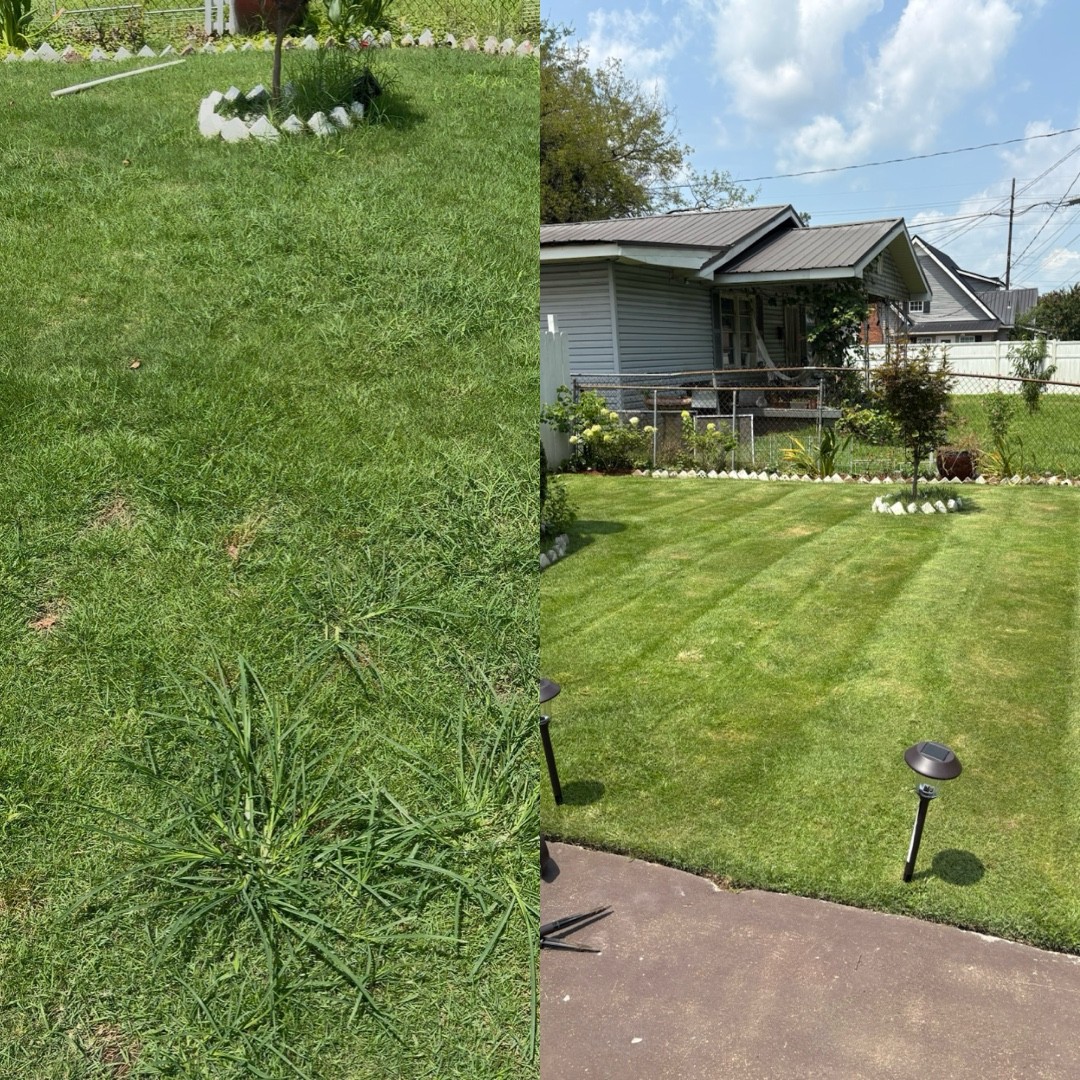 Before and after landscaping work