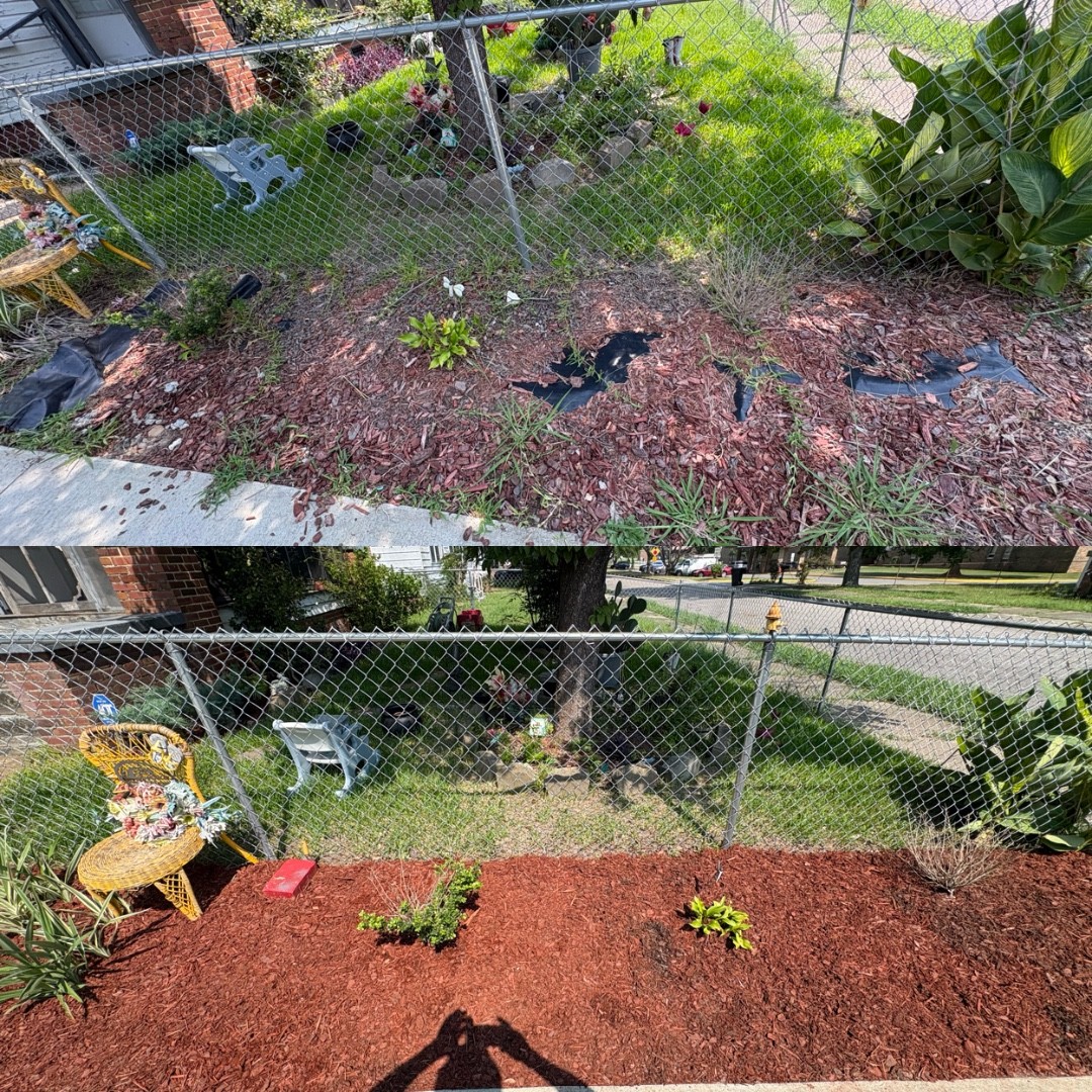 Before and after mulch installation along a fence