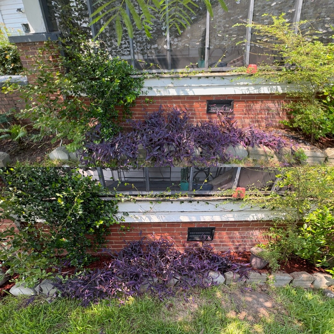 Before and after garden bed mulch installation