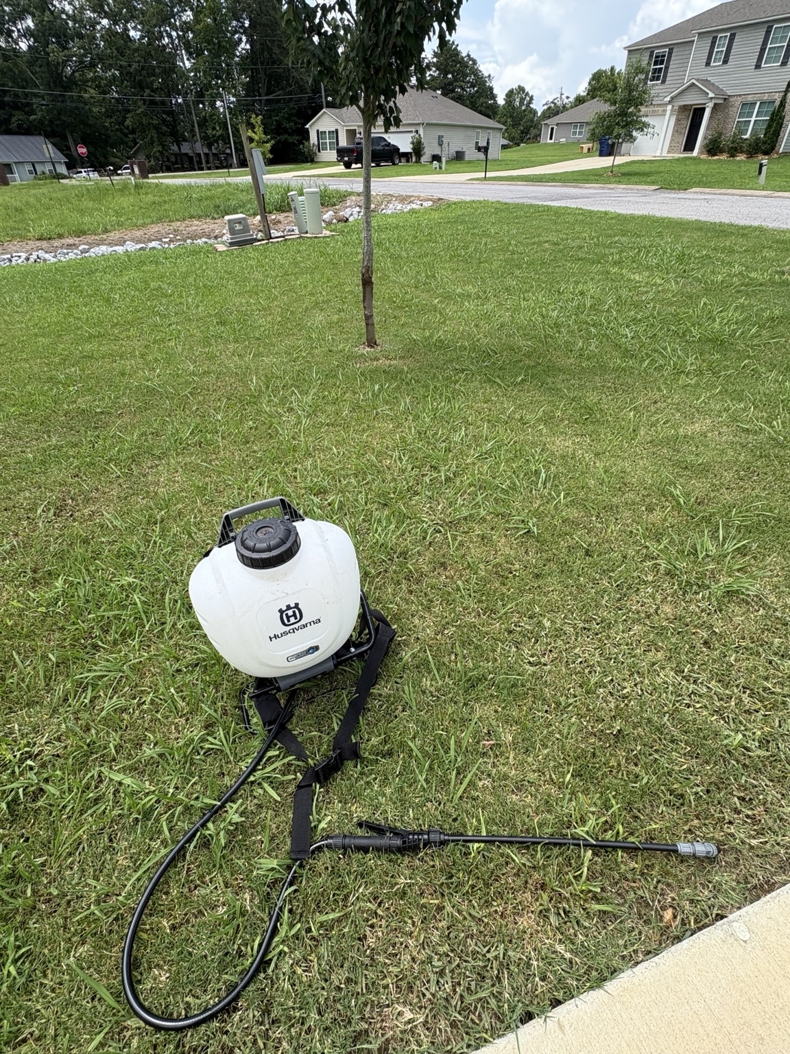 Weed control lawn project
