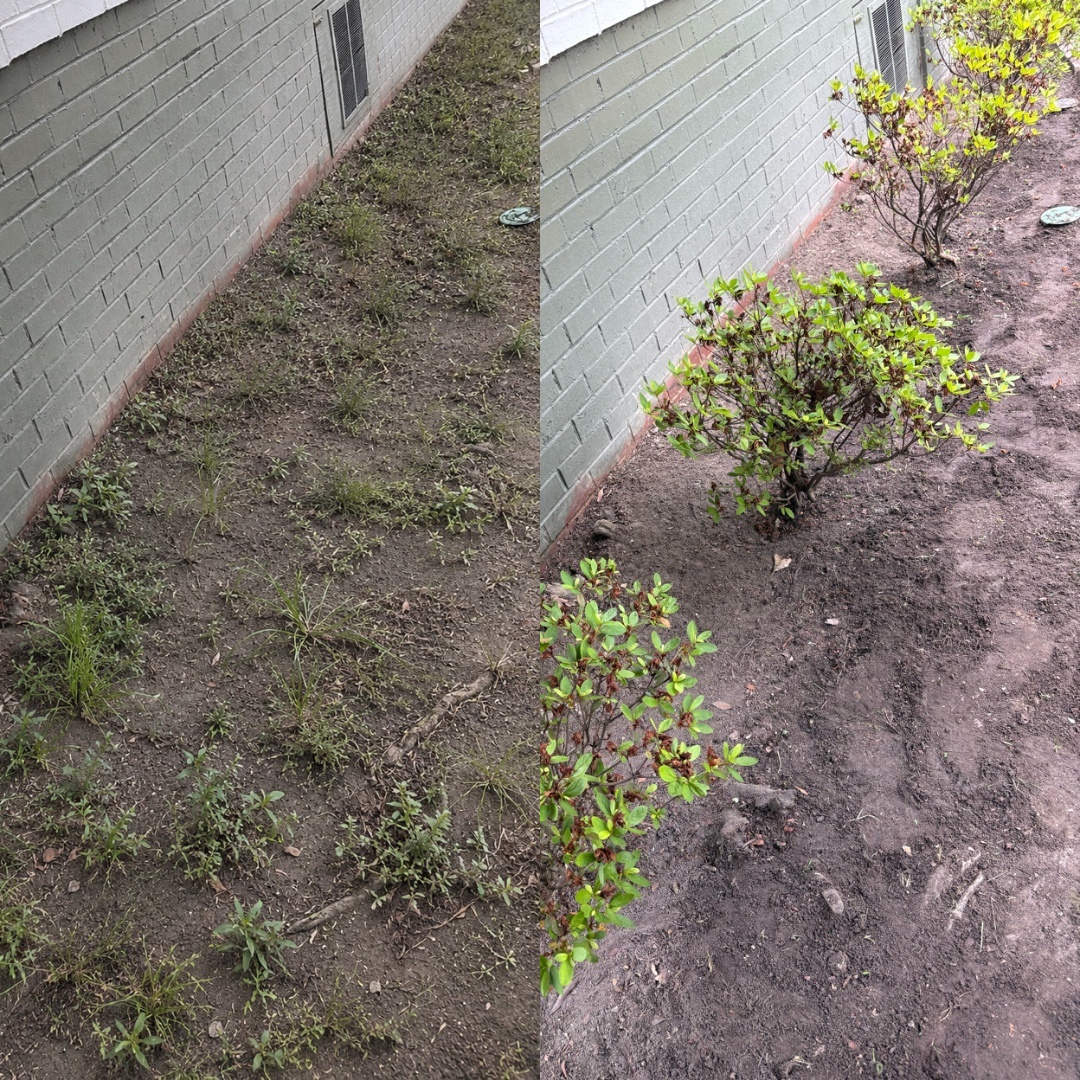 Plant and flower bed project