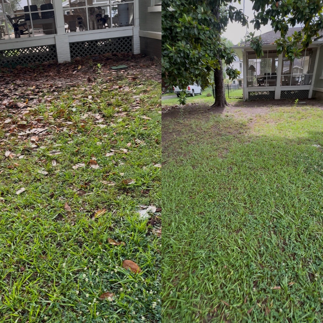 Yard cleanup project